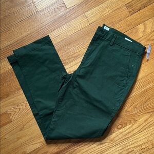 GAP Green Chino Pants with Straight Leg